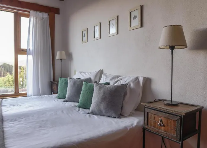 El Bosque By Dot Tradition